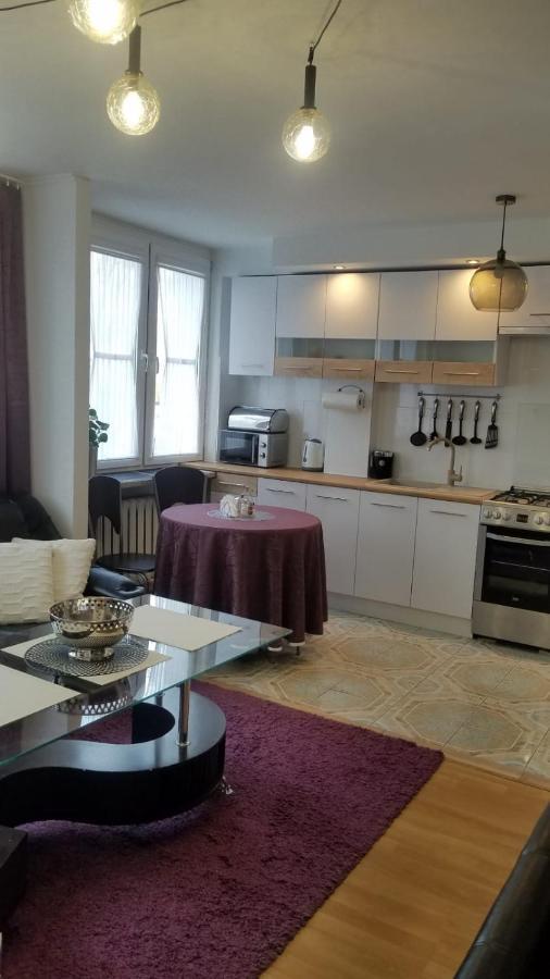 Apartament Zamosc Fiolet Exterior photo